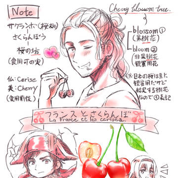 フランスとさくらんぼ