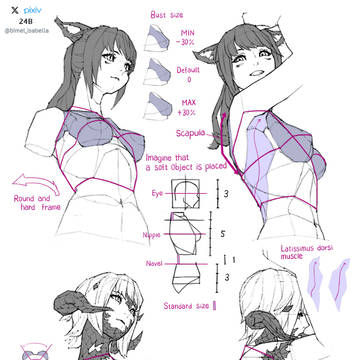 ミコッテとアウラの胸を描くガイドライン#2
