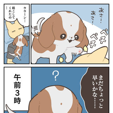 早起き