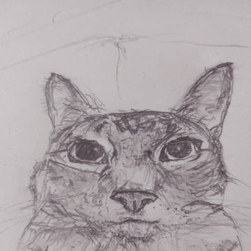 上传作品