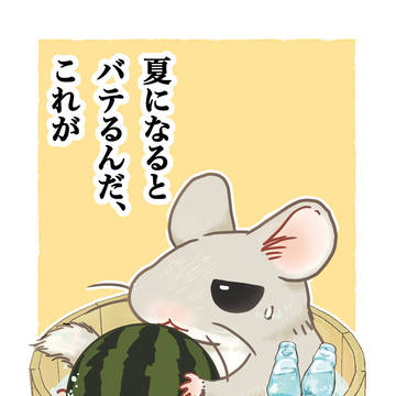 【8/11夏コミ1日目】十二国記新刊・グッズセット