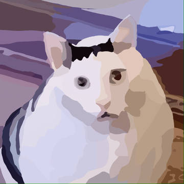huh猫