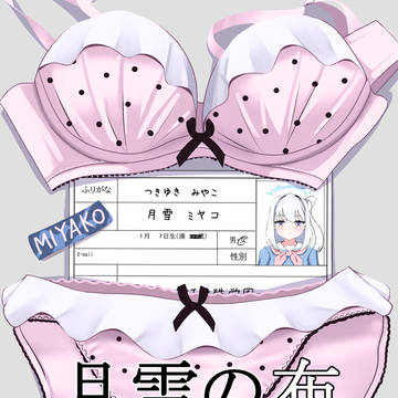 コミケでミヤコの布で抜く本出します!