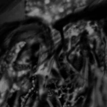 ｃｈaｒｃoaｌ