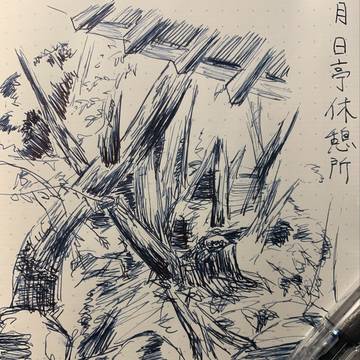 月日亭休憩所から見る春日山原生林