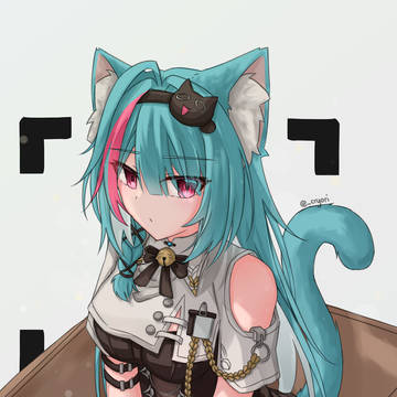 🐈📦