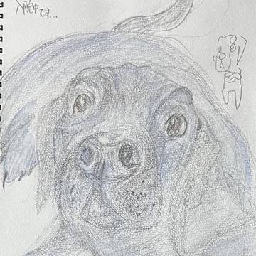 おいぬさん