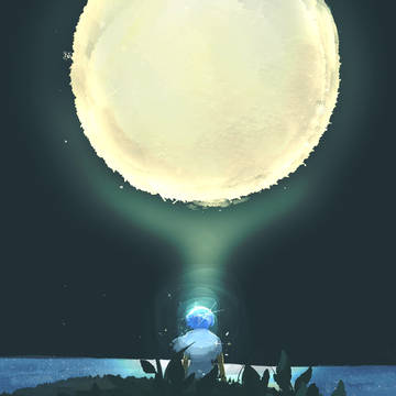月と石