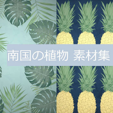 南国の植物 素材集