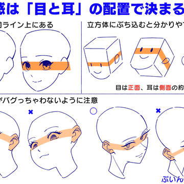 顔の奥行き感は「目と耳の位置関係」が大事