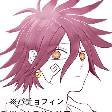 パチョフィンログ