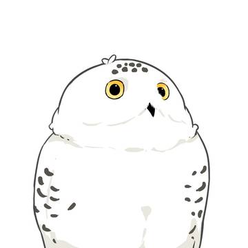雪鸮
