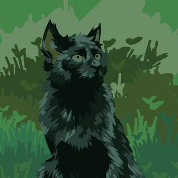 black cat