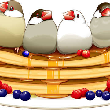 文鳥さんとパンケーキ