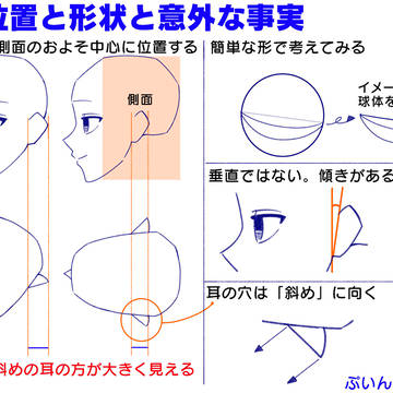 意外に見落とす「耳の描き方」