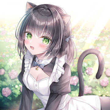 にゃん🐈‍⬛