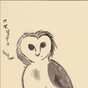 Owl.