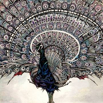 孔雀 peafowl