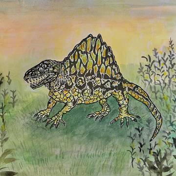 Dimetrodon Jr．