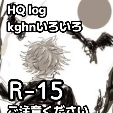 HQ log