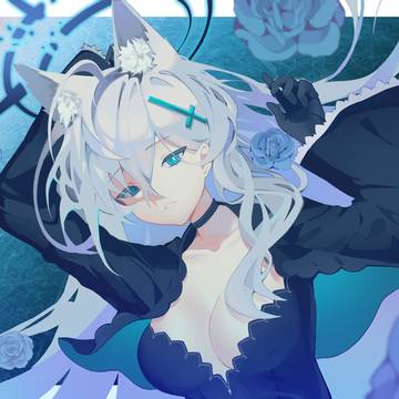 シロコ*テラー