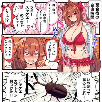 ダスカとカブトムシ