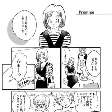 promise