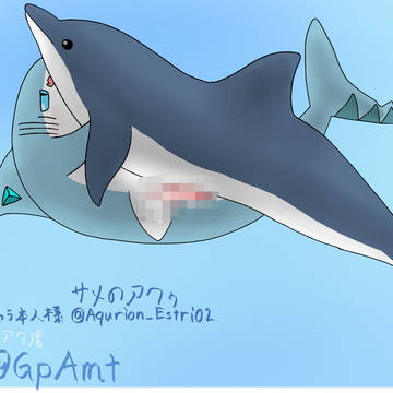 イルカ2 (R