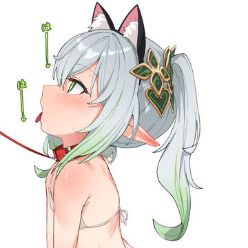 ナヒーダ