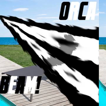 ORCA BEAM!