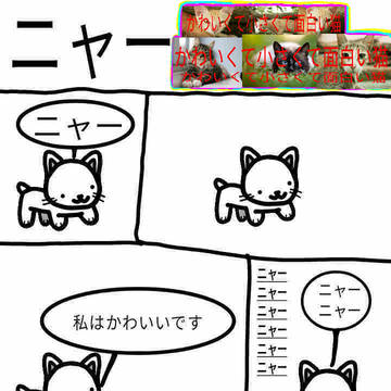 かわいくて小さくて面白い猫 | ニャー