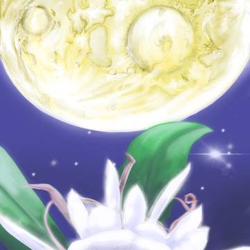月と月下美人