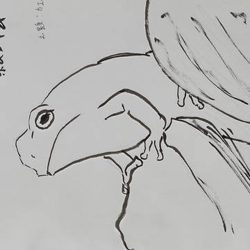 wikiカエル