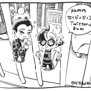 Twitterのセイジニまとめ