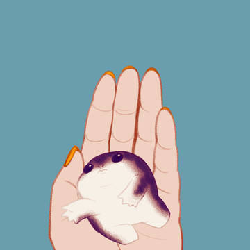 手のひらサイズ