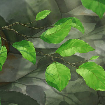 Leaf details study