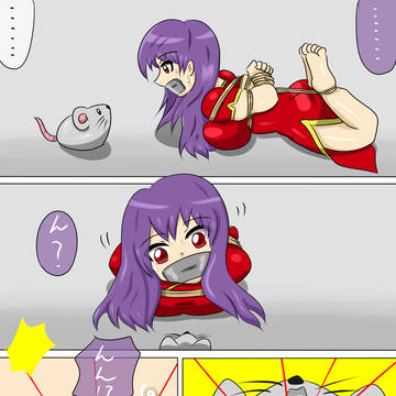 さやかちゃん・完