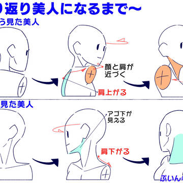 首の【ひねり】の描き方
