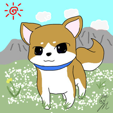 草原の柴