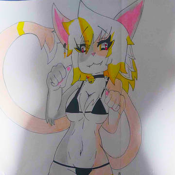 Xiba_R