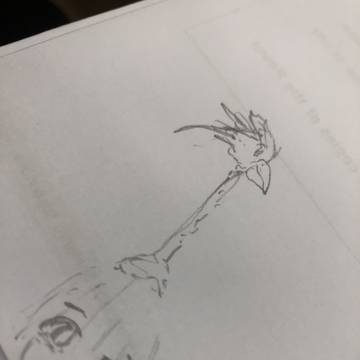 ???