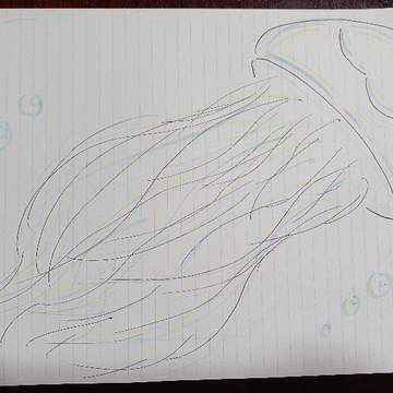 クラゲ