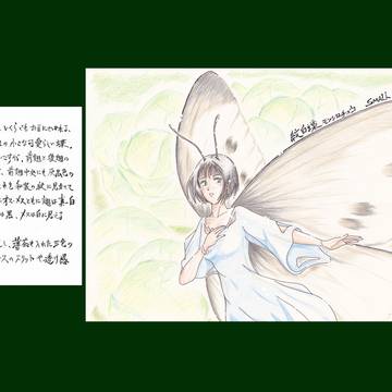 ”キャベツ畑 de 捉まえて！”　モンシロチョウ