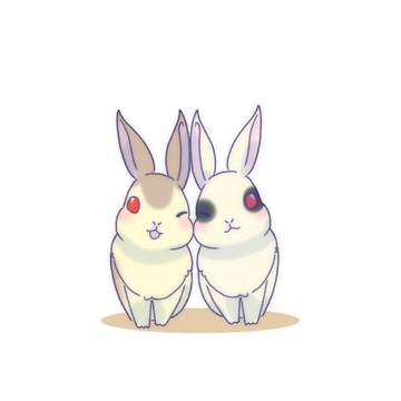 🐰🐰と💊🧸