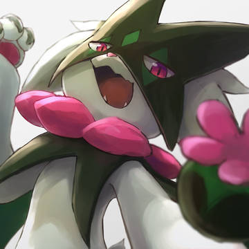 ショータイム
