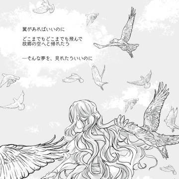 【白妙】空を駆ける鳥でも【物語】