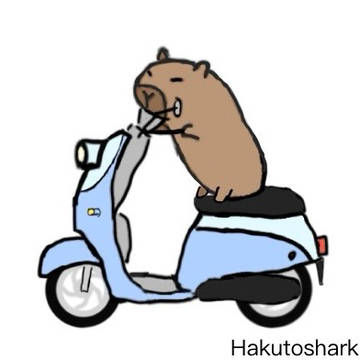 卡比巴拉騎車