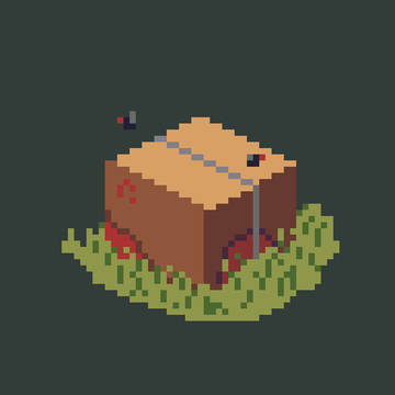 What's in the box?