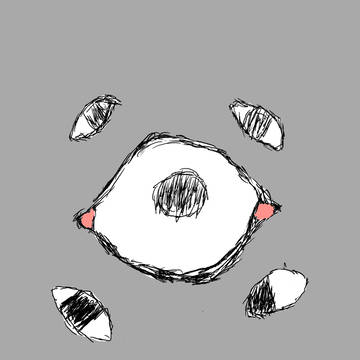 目