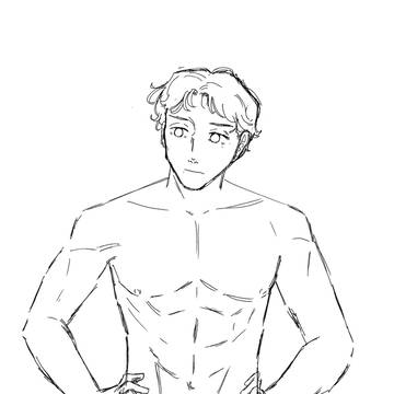 Muscle studies